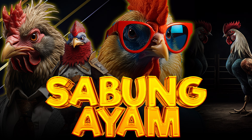 sabung ayam